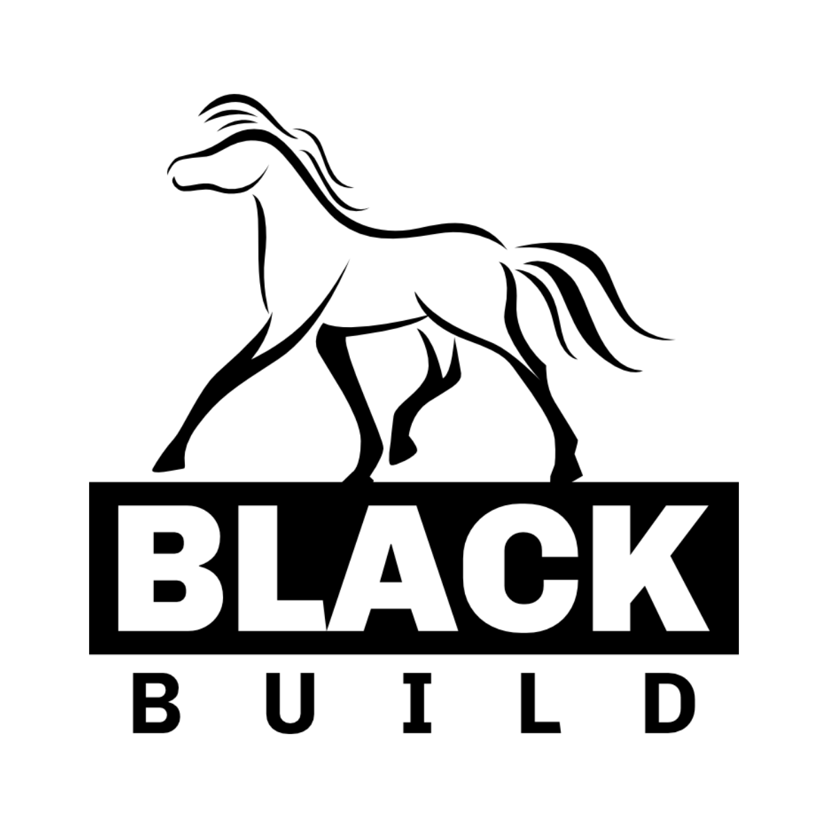 Black Build - Extensions London - Loft Conversions London - Remonty Londyn